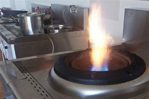 植物油燃料安全系數(shù)高嗎,植物油燃料灶具現(xiàn)成熟了嗎