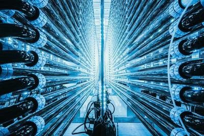 2021世界環境攝影師大賽結果揭曉 破屋中的孩子震撼奪冠