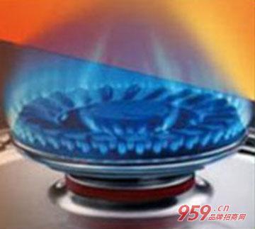 標(biāo)普能源油 安全可靠的選擇，節(jié)能環(huán)保的加盟品牌