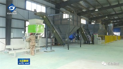 我縣首家生物質(zhì)顆粒項(xiàng)目正式投產(chǎn)，開啟綠色燃料新篇章